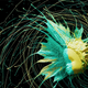 Illustration for article titled 10 Beautifully Creepy Photos That Turn Centrifugal Force Into Art